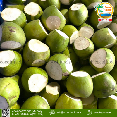 FRESH YOUNG COCONUT