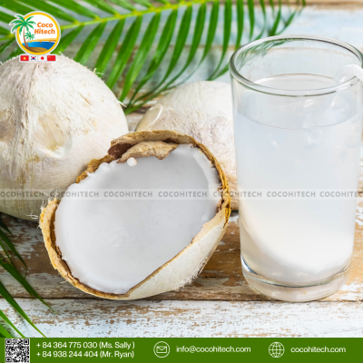 FRESH YOUNG COCONUT