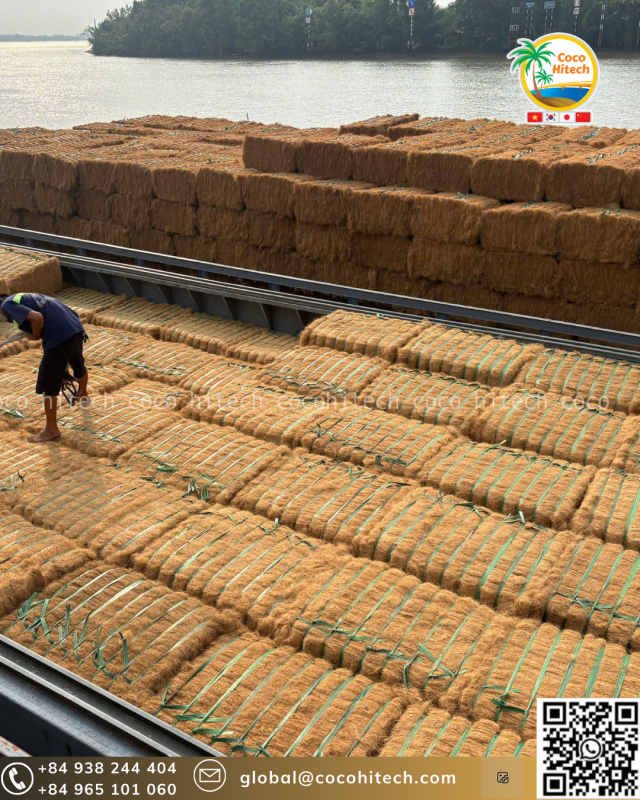 COCONUT FIBER (1)
