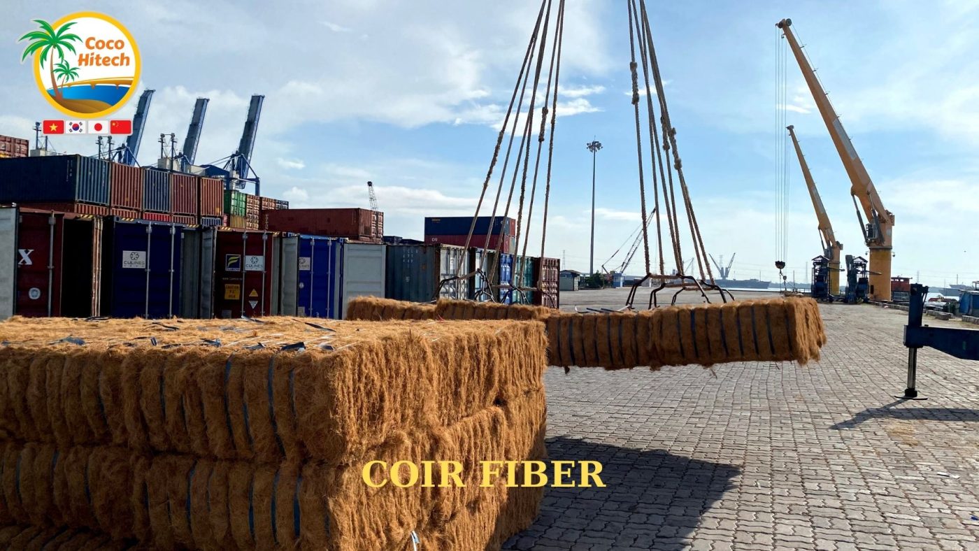 COCONUT FIBER (2)
