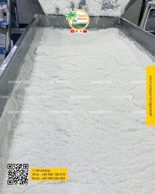 HIGH FAT DESICCATED COCONUT POWDER