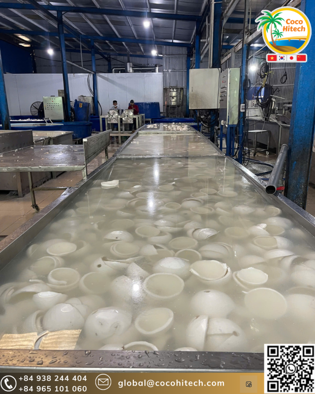 high fat desiccated coconut powder