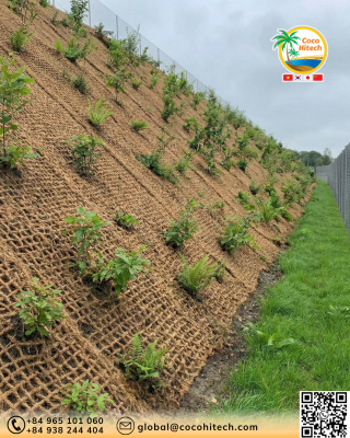 Lưới xơ dừa