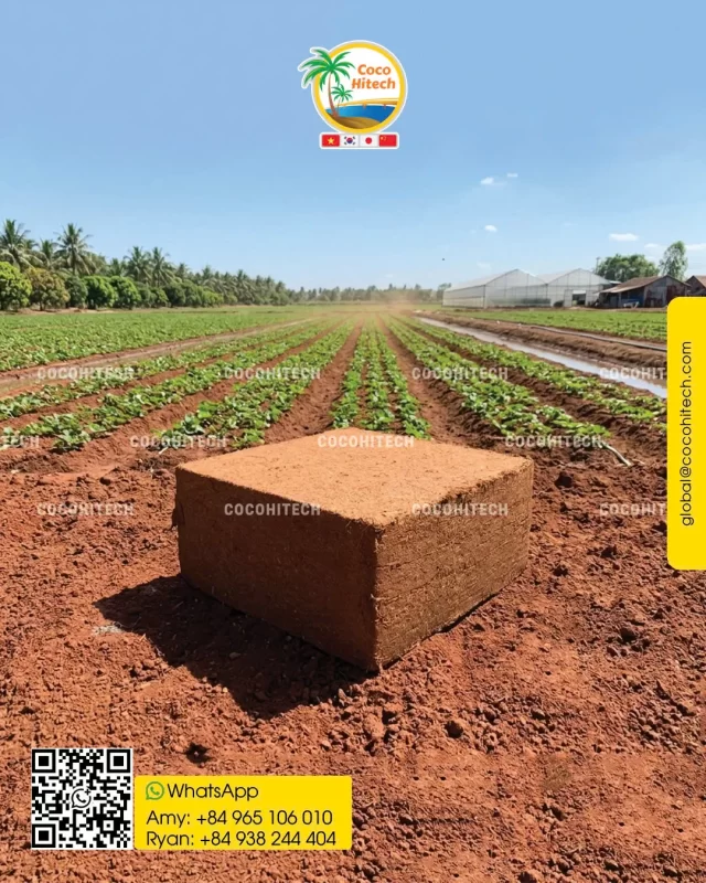 COCO PEAT BLOCK