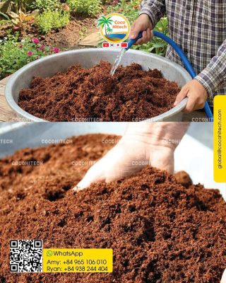 COCO PEAT BLOCK