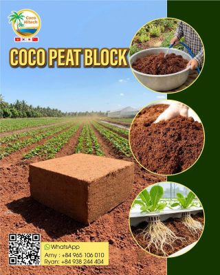 COCO PEAT BLOCK