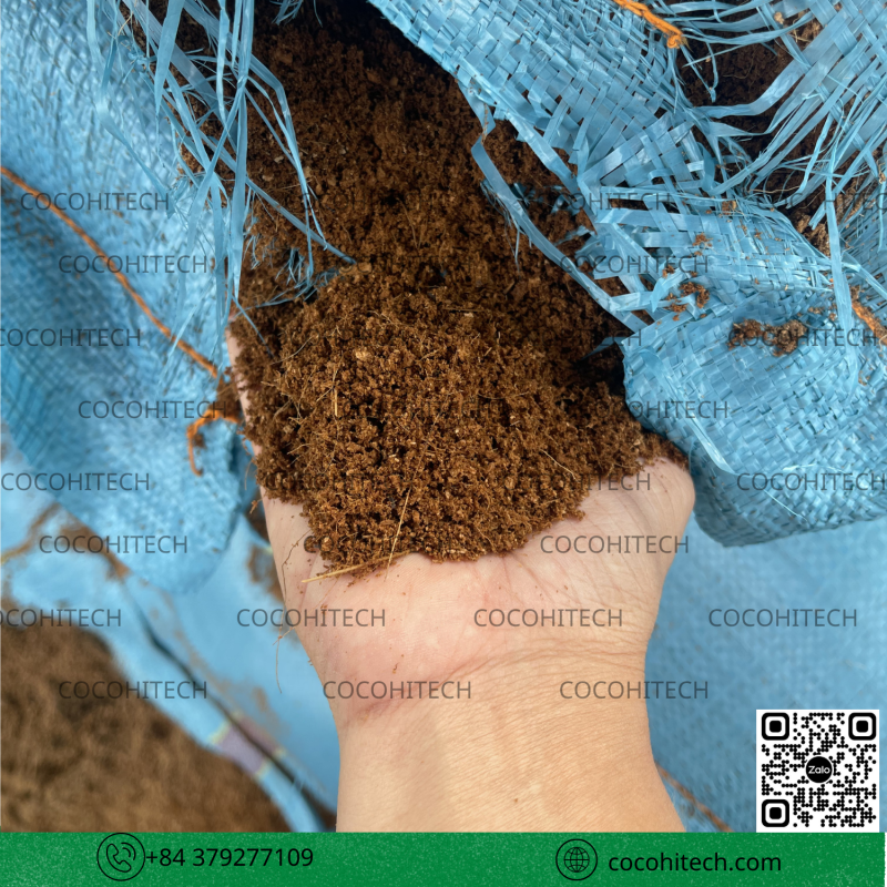 Mụn Dừa Đóng Bao Xá COCOHITECH 