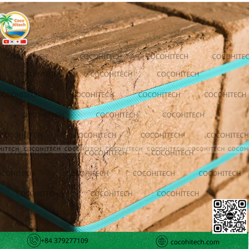 Khối Mụn Dừa Nén COCOHITECH 