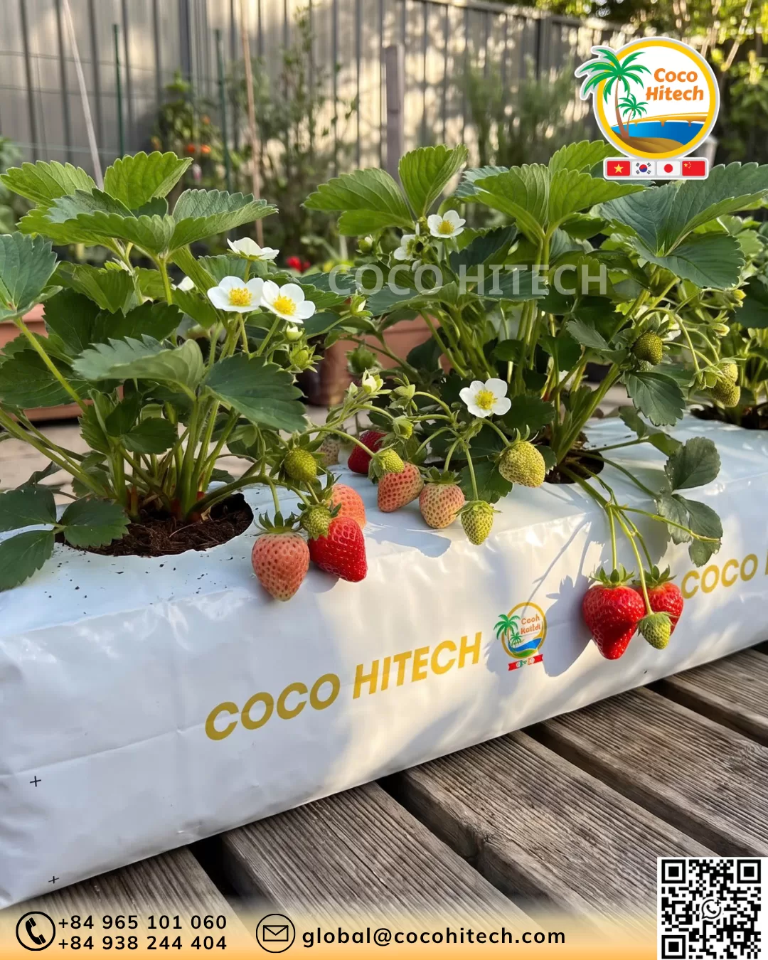 COCO PEAT GROW BAG