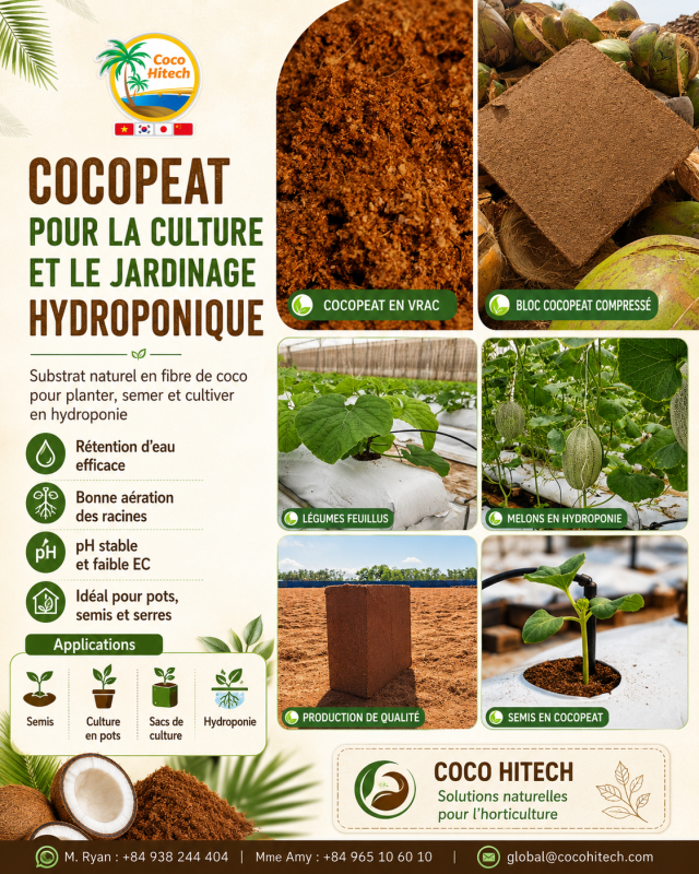 COCO PEAT BLOCK
