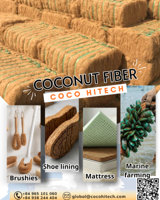 COCONUT FIBER (5)