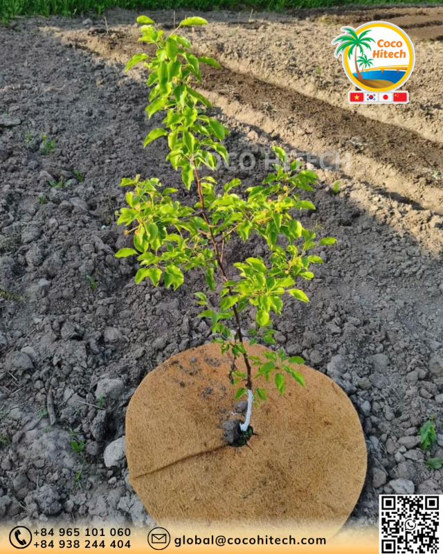 COIR MULCH MAT (12)