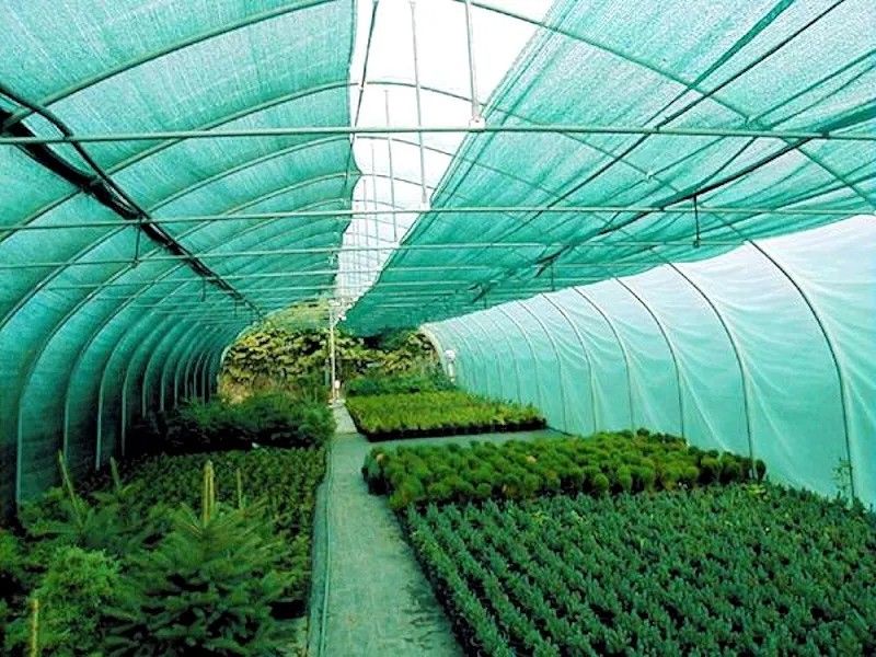 HDPE SHADE NET