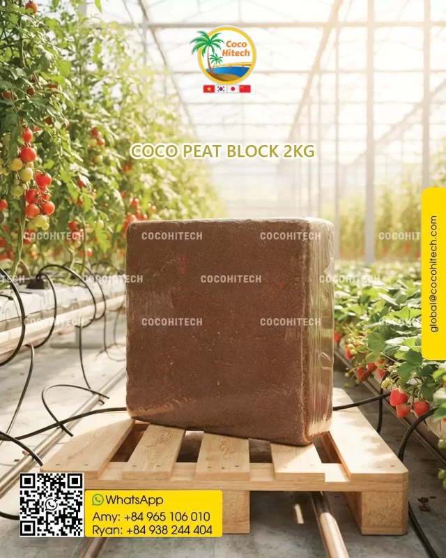 COCO PEAT BLOCK 
