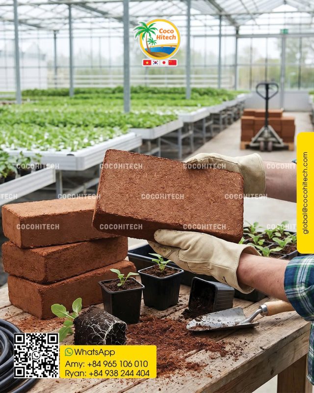 COCO PEAT BLOCK 