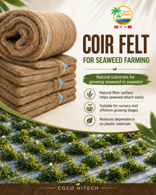 COIR FELT NEEDLE MAT