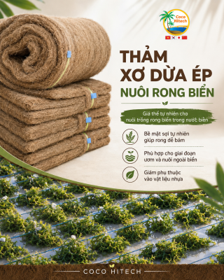 THẢM XƠ DỪA ÉP