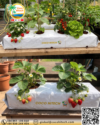 COCO COIR SLAB