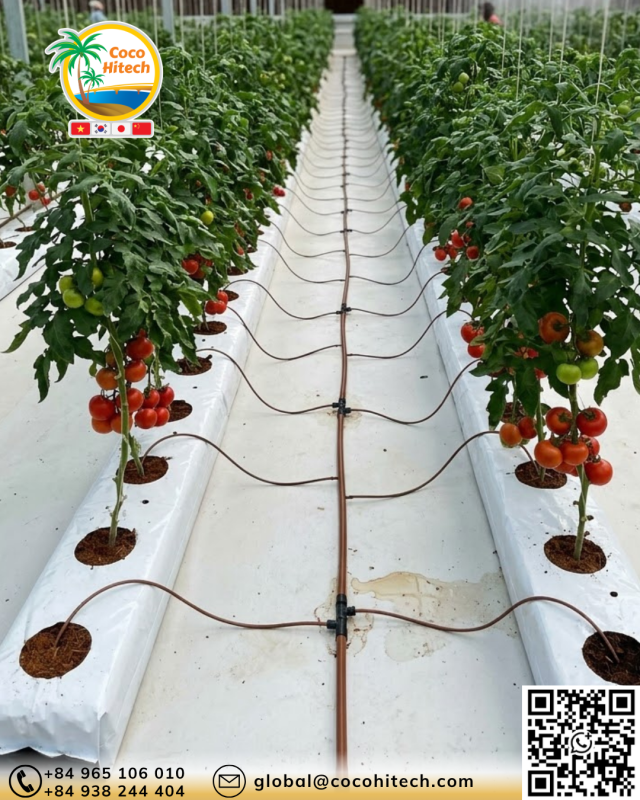 COCO COIR SLAB
