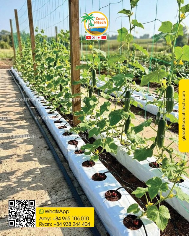 COCO PEAT GROW BAG 