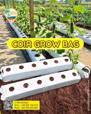 COCO PEAT GROW BAG