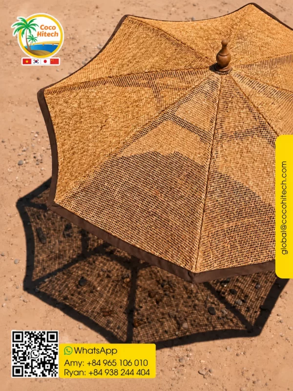 coconut parasol 